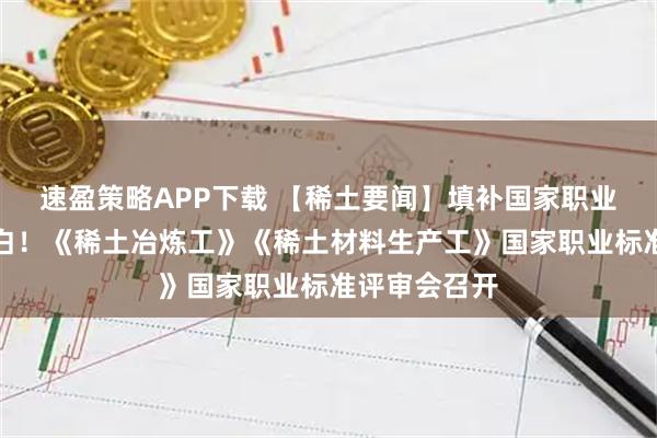 速盈策略APP下载 【稀土要闻】填补国家职业技能标准空白！《稀土冶炼工》《稀土材料生产工》国家职业标准评审会召开