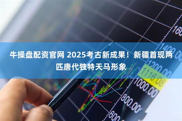 牛操盘配资官网 2025考古新成果！新疆首现两匹唐代独特天马形象